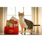 Schnupperpaket Katzen 200g (1 Paket mit verschiedenen Sorten / Testpackungen)