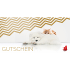 Anifit 10 EUR Gutschein ONLINE (1 Stück)